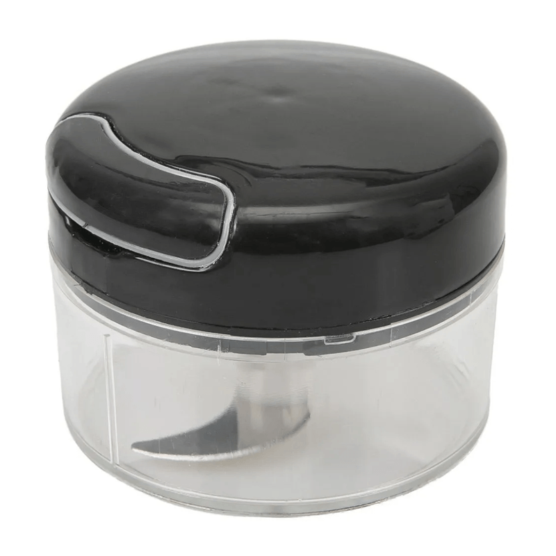 MiniProcessadordeAlimentosManualCom2LaminasLYOR