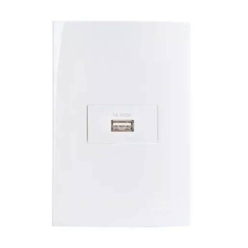 CONJ1TOMCARUSB1ABIV4X2BRSLEEKMARGIRIUS